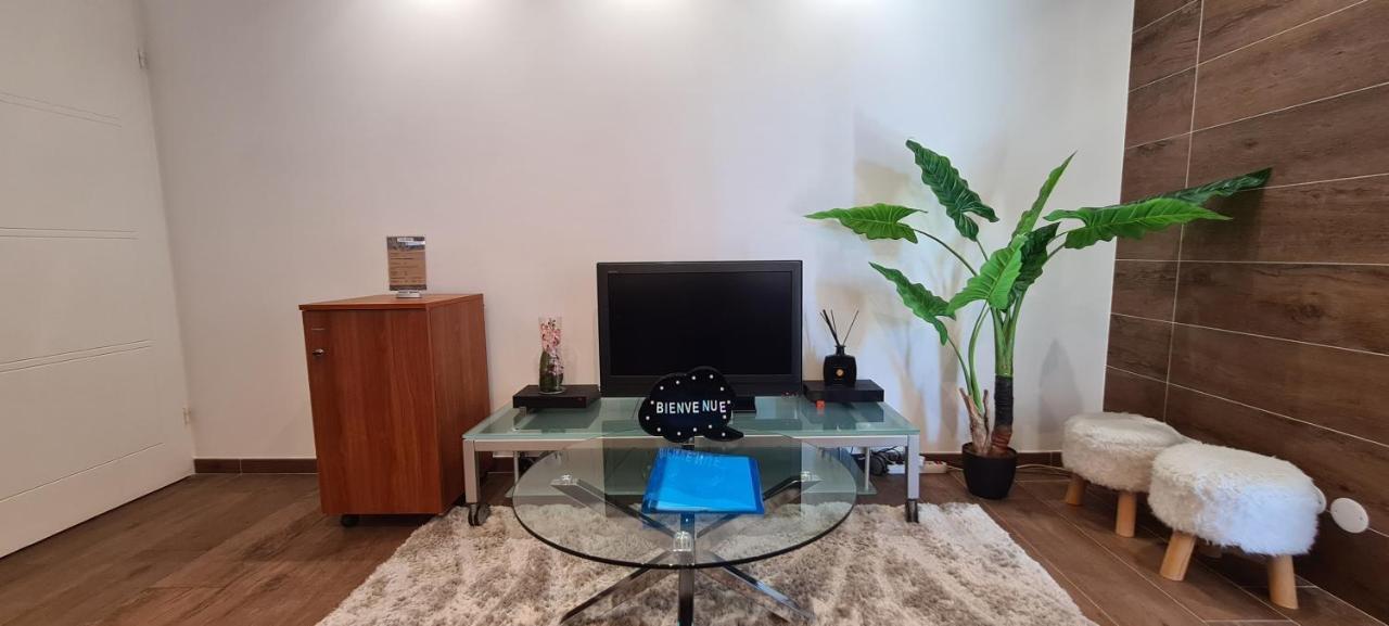 Viry Le Cocon Du Leman公寓 外观 照片